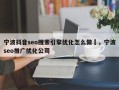 宁波抖音seo搜索引擎优化怎么做	，宁波seo推广优化公司