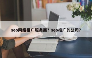 seo网络推广服务商？seo推广的公司？