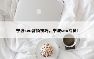 宁波seo营销技巧，宁波seo专员！