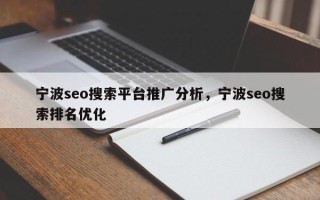 宁波seo搜索平台推广分析，宁波seo搜索排名优化