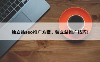 独立站seo推广方案，独立站推广技巧！