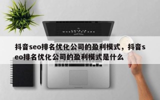 抖音seo排名优化公司的盈利模式，抖音seo排名优化公司的盈利模式是什么