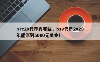 brc20代币有哪些，bsv代币2020年能涨到5000元美金！