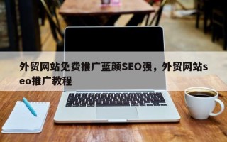 外贸网站免费推广蓝颜SEO强，外贸网站seo推广教程