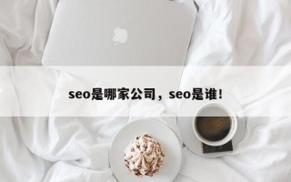 seo是哪家公司，seo是谁！