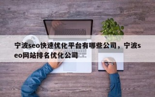宁波seo快速优化平台有哪些公司，宁波seo网站排名优化公司