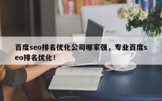 百度seo排名优化公司哪家强，专业百度seo排名优化！