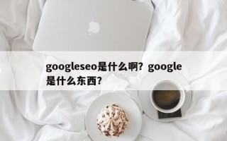 googleseo是什么啊？google是什么东西？