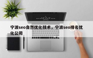 宁波seo自然优化技术，宁波seo排名优化公司