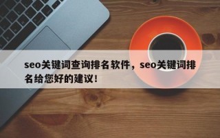 seo关键词查询排名软件，seo关键词排名给您好的建议！