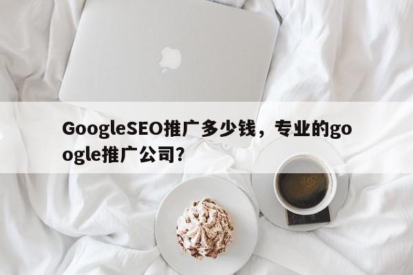 GoogleSEO推广多少钱，专业的google推广公司？-第1张图片-我爱优化seo网