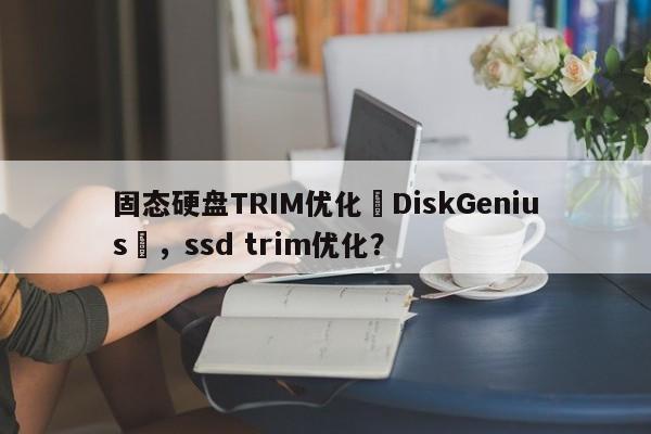固态硬盘TRIM优化–DiskGenius	，ssd trim优化？-第1张图片-我爱优化seo网