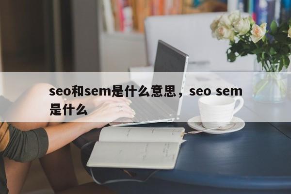 seo和sem是什么意思，seo sem是什么-第1张图片-我爱优化seo网