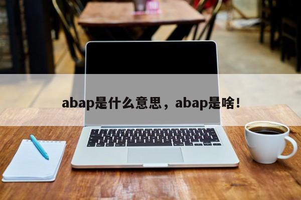 abap是什么意思，abap是啥！-第1张图片-我爱优化seo网